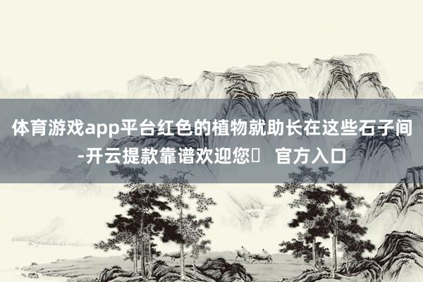 体育游戏app平台红色的植物就助长在这些石子间-开云提款靠谱欢迎您✅ 官方入口