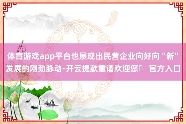 体育游戏app平台也展现出民营企业向好向“新”发展的刚劲脉动-开云提款靠谱欢迎您✅ 官方入口