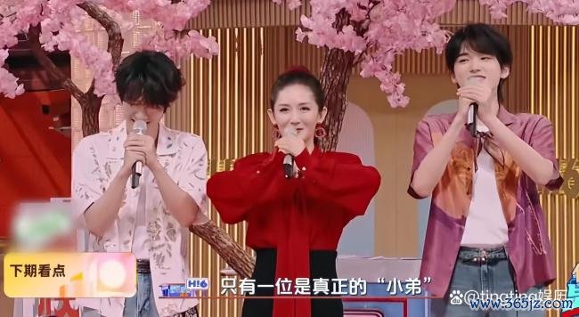 谢娜从期间少年团中选理念念东床